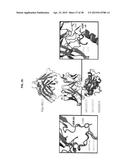 COMPOSITIONS FOR INHIBITION OF QUIESCIN SULFHYDRYL OXIDASE (QSOX1) AND     USES OF SAME diagram and image