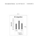 POLYPEPTIDE SPECIFICALLY BINDING TO VEGF-C AND USE THEREOF diagram and image