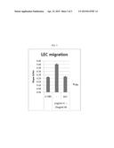 POLYPEPTIDE SPECIFICALLY BINDING TO VEGF-C AND USE THEREOF diagram and image