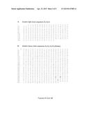 BISPECIFIC ANTIBODIES WITH AN FGF2 BINDING DOMAIN diagram and image