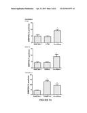 Extracellular Matrix Metalloproteinase Inducer (Emmprin) Peptides And     Binding Antibodies diagram and image