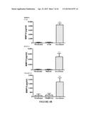 Extracellular Matrix Metalloproteinase Inducer (Emmprin) Peptides And     Binding Antibodies diagram and image