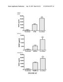 Extracellular Matrix Metalloproteinase Inducer (Emmprin) Peptides And     Binding Antibodies diagram and image