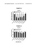 Extracellular Matrix Metalloproteinase Inducer (Emmprin) Peptides And     Binding Antibodies diagram and image