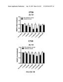 Extracellular Matrix Metalloproteinase Inducer (Emmprin) Peptides And     Binding Antibodies diagram and image