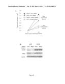 Compositions and Methods for Treating B-Lymphoid Malignancies diagram and image