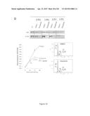 Compositions and Methods for Treating B-Lymphoid Malignancies diagram and image