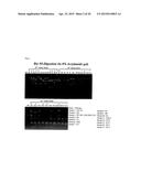 DRUG CONJUGATE COMPRISING DRUG LINKED TO HUMAN C-MET ANTIBODY, AND USE     THEREFOR diagram and image