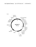 DRUG CONJUGATE COMPRISING DRUG LINKED TO HUMAN C-MET ANTIBODY, AND USE     THEREFOR diagram and image