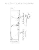 DRUG CONJUGATE COMPRISING DRUG LINKED TO HUMAN C-MET ANTIBODY, AND USE     THEREFOR diagram and image