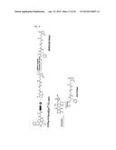 DRUG CONJUGATE COMPRISING DRUG LINKED TO HUMAN C-MET ANTIBODY, AND USE     THEREFOR diagram and image