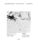 PARTICULATE VACCINE FORMULATIONS diagram and image