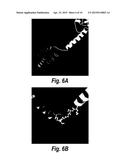 SELF-ASSEMBLED NANOPARTICLE VACCINES diagram and image