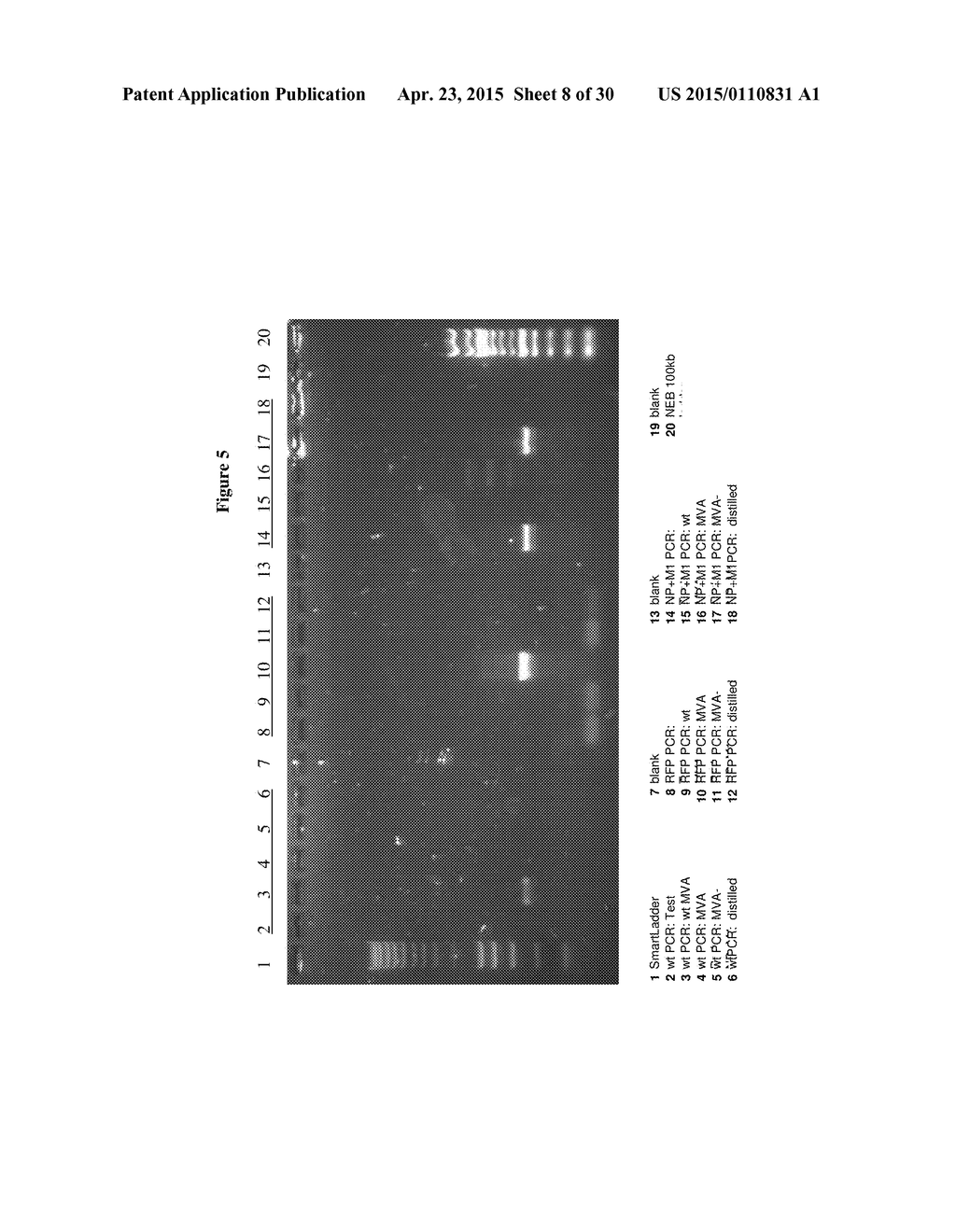 COMPOSITIONS AND METHODS - diagram, schematic, and image 09