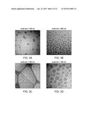 INHALED SURFACTANT-MODIFIED LIPOSOMAL FORMULATIONS PROVIDING BOTH AN     IMMEDIATE AND SUSTAINED RELEASE PROFILE diagram and image