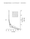 INHALED SURFACTANT-MODIFIED LIPOSOMAL FORMULATIONS PROVIDING BOTH AN     IMMEDIATE AND SUSTAINED RELEASE PROFILE diagram and image