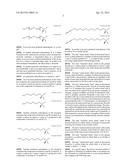 SULFORAPHANE-DERIVED COMPOUNDS, PRODUCTION METHOD THEREOF AND THE MEDICAL,     FOOD AND COSMETIC USE OF SAME diagram and image