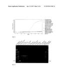 DETECTION METHOD FOR MYOCOBACTERIUM AVIUM SPP. PARATUBERCULOSIS diagram and image