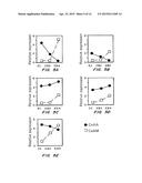 Gene Amplification of Coactivator COAA and Uses Thereof diagram and image