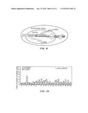 Gene Amplification of Coactivator COAA and Uses Thereof diagram and image