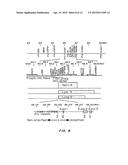 Gene Amplification of Coactivator COAA and Uses Thereof diagram and image