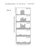 Gene Amplification of Coactivator COAA and Uses Thereof diagram and image