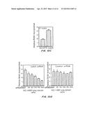 Gene Amplification of Coactivator COAA and Uses Thereof diagram and image