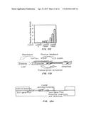 Gene Amplification of Coactivator COAA and Uses Thereof diagram and image