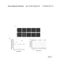 MARKER QUANTITATION IN SINGLE CELLS IN TISSUE SECTIONS diagram and image