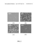 PEPTIDE SPECIFIC FOR OVARIAN CANCER AND APPLICATIONS diagram and image