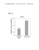 IN VITRO MODEL FOR A TUMOR MICROENVIRONMENT diagram and image