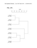 IN VITRO MODEL FOR A TUMOR MICROENVIRONMENT diagram and image