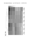 IN VITRO MODEL FOR A TUMOR MICROENVIRONMENT diagram and image