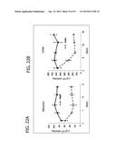 IN VITRO MODEL FOR A TUMOR MICROENVIRONMENT diagram and image