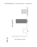 IN VITRO MODEL FOR A TUMOR MICROENVIRONMENT diagram and image