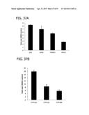 IN VITRO MODEL FOR A TUMOR MICROENVIRONMENT diagram and image