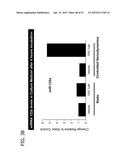 IN VITRO MODEL FOR A TUMOR MICROENVIRONMENT diagram and image