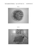 DETECTION OF MICROORGANISMS INVOLVED IN METABOLISM OF ORGANIC     ENVIRONMENTAL POLLUTANTS diagram and image