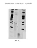 Assembly of Nucleic Acid Sequences in Emulsions diagram and image