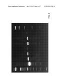 Assembly of Nucleic Acid Sequences in Emulsions diagram and image