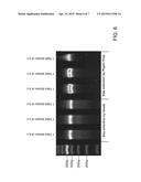 Assembly of Nucleic Acid Sequences in Emulsions diagram and image