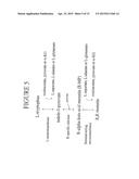 ALDOLASES, NUCLEIC ACIDS ENCODING THEM AND METHODS FOR MAKING AND USING     THEM diagram and image