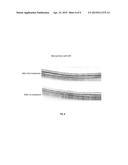 OPTICAL REGULATION OF GENE EXPRESSION IN THE RETINA diagram and image