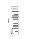 HEXON ISOLATED FROM SIMIAN ADENOVIRUS SEROTYPE 19, HYPERVARIABLE REGION     THEREOF AND CHIMERIC ADENOVIRUS USING THE SAME diagram and image