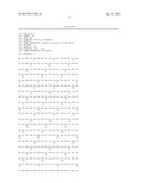 HEXON ISOLATED FROM SIMIAN ADENOVIRUS SEROTYPE 19, HYPERVARIABLE REGION     THEREOF AND CHIMERIC ADENOVIRUS USING THE SAME diagram and image