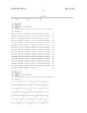 HEXON ISOLATED FROM SIMIAN ADENOVIRUS SEROTYPE 19, HYPERVARIABLE REGION     THEREOF AND CHIMERIC ADENOVIRUS USING THE SAME diagram and image