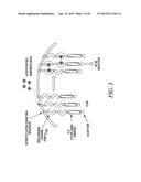 METHODS AND COMPOSITIONS FOR GENERATING AN IMMUNE RESPONSE BY INDUCING     CD40 AND PATTERN RECOGNITION RECEPTOR ADAPTERS diagram and image