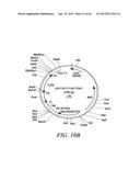 METHODS AND COMPOSITIONS FOR GENERATING AN IMMUNE RESPONSE BY INDUCING     CD40 AND PATTERN RECOGNITION RECEPTOR ADAPTERS diagram and image