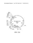 METHODS AND COMPOSITIONS FOR GENERATING AN IMMUNE RESPONSE BY INDUCING     CD40 AND PATTERN RECOGNITION RECEPTOR ADAPTERS diagram and image