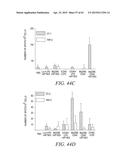 METHODS AND COMPOSITIONS FOR GENERATING AN IMMUNE RESPONSE BY INDUCING     CD40 AND PATTERN RECOGNITION RECEPTOR ADAPTERS diagram and image